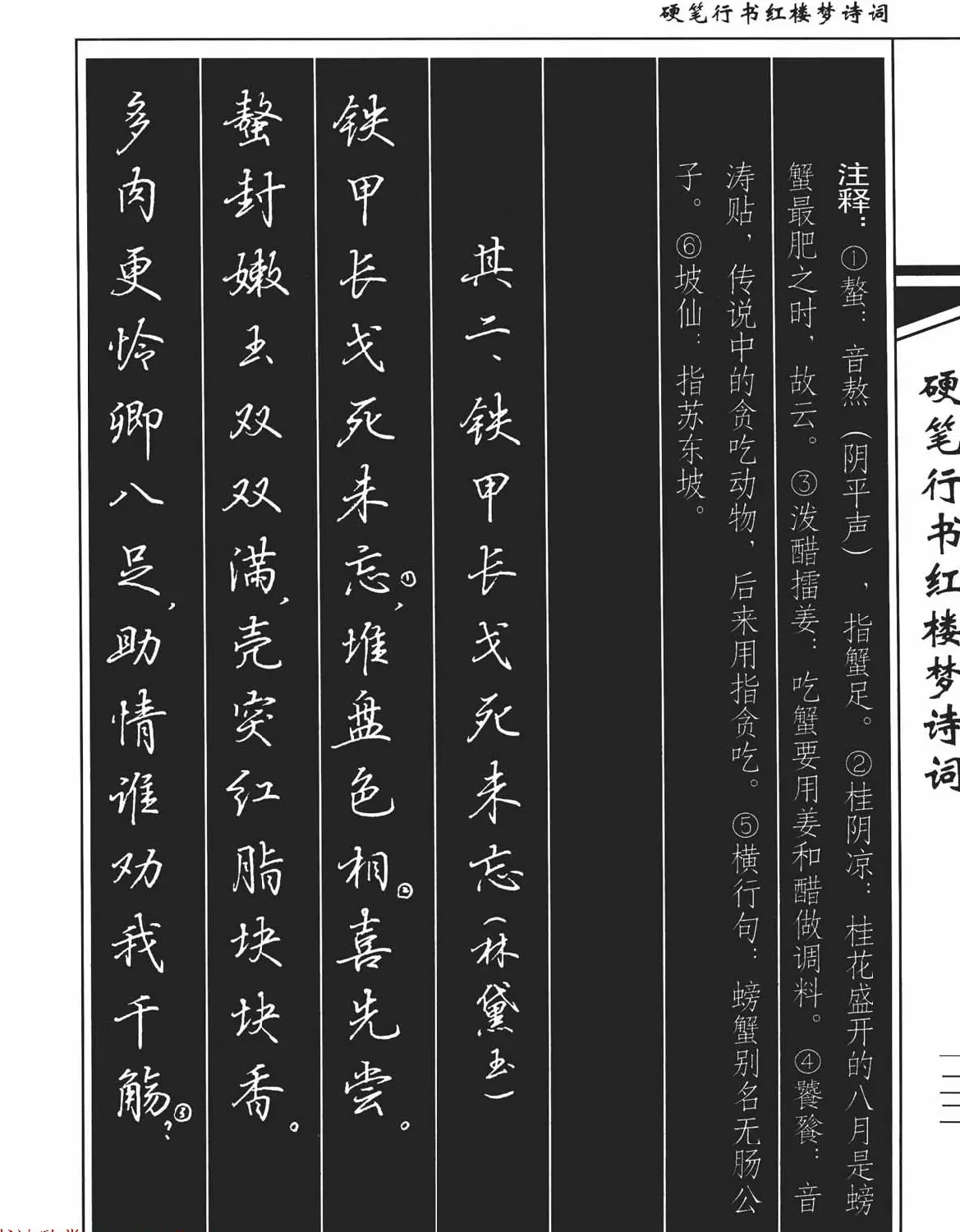 吴玉生钢笔字帖欣赏《硬笔行书红楼梦诗词》 | 硬笔书法字帖