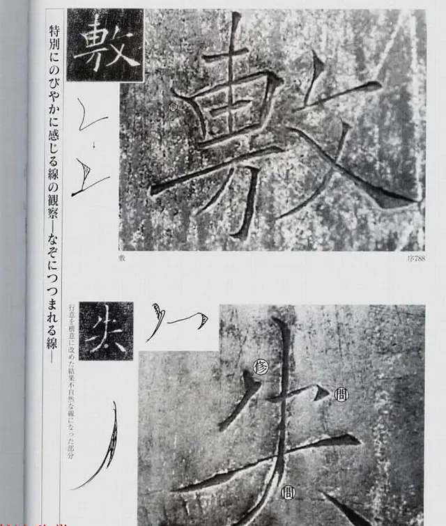 荒金大琳编著《褚遂良雁塔圣教序扩大观察记录》 | 毛笔楷书字帖
