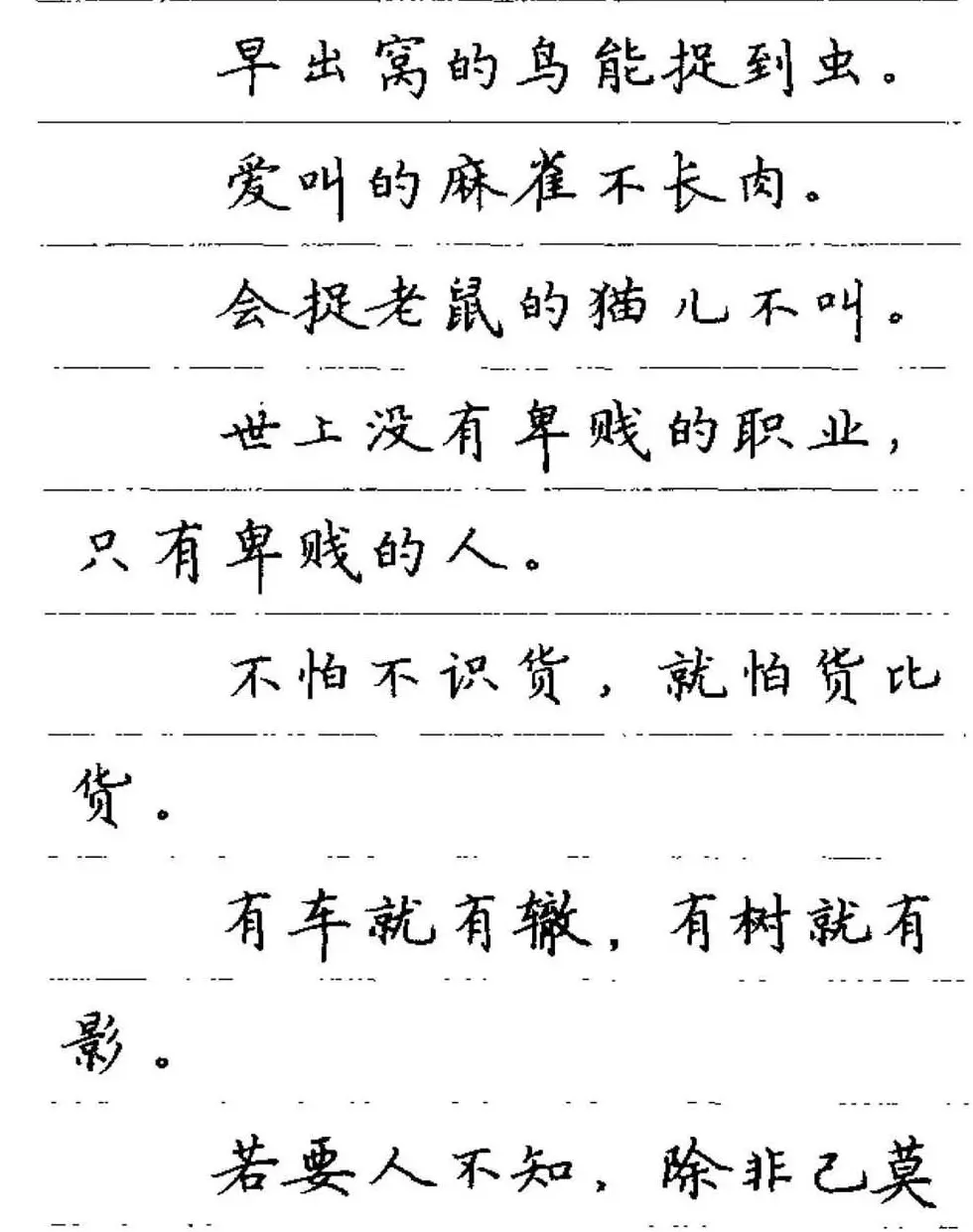 卢中南钢笔字帖《谚语名句》楷书篇 | 硬笔书法字帖