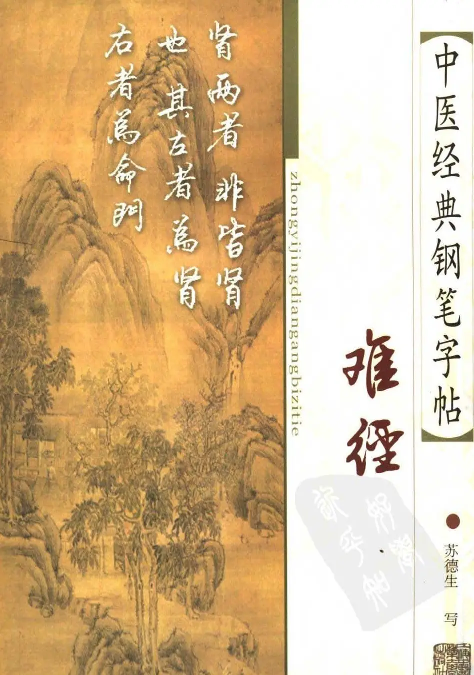 苏德生书法《中医经典钢笔字帖难经》 | 硬笔书法字帖