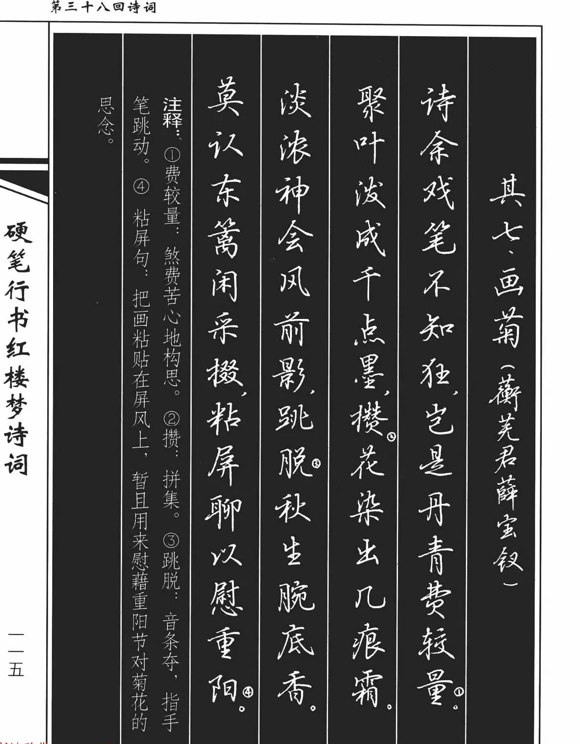 吴玉生钢笔字帖欣赏《硬笔行书红楼梦诗词》 | 硬笔书法字帖