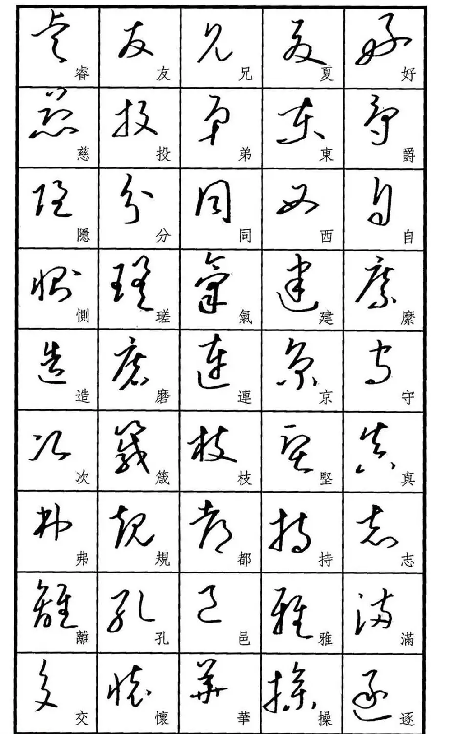 梧桐钢笔书帖《标准草书范字》 | 硬笔书法字帖