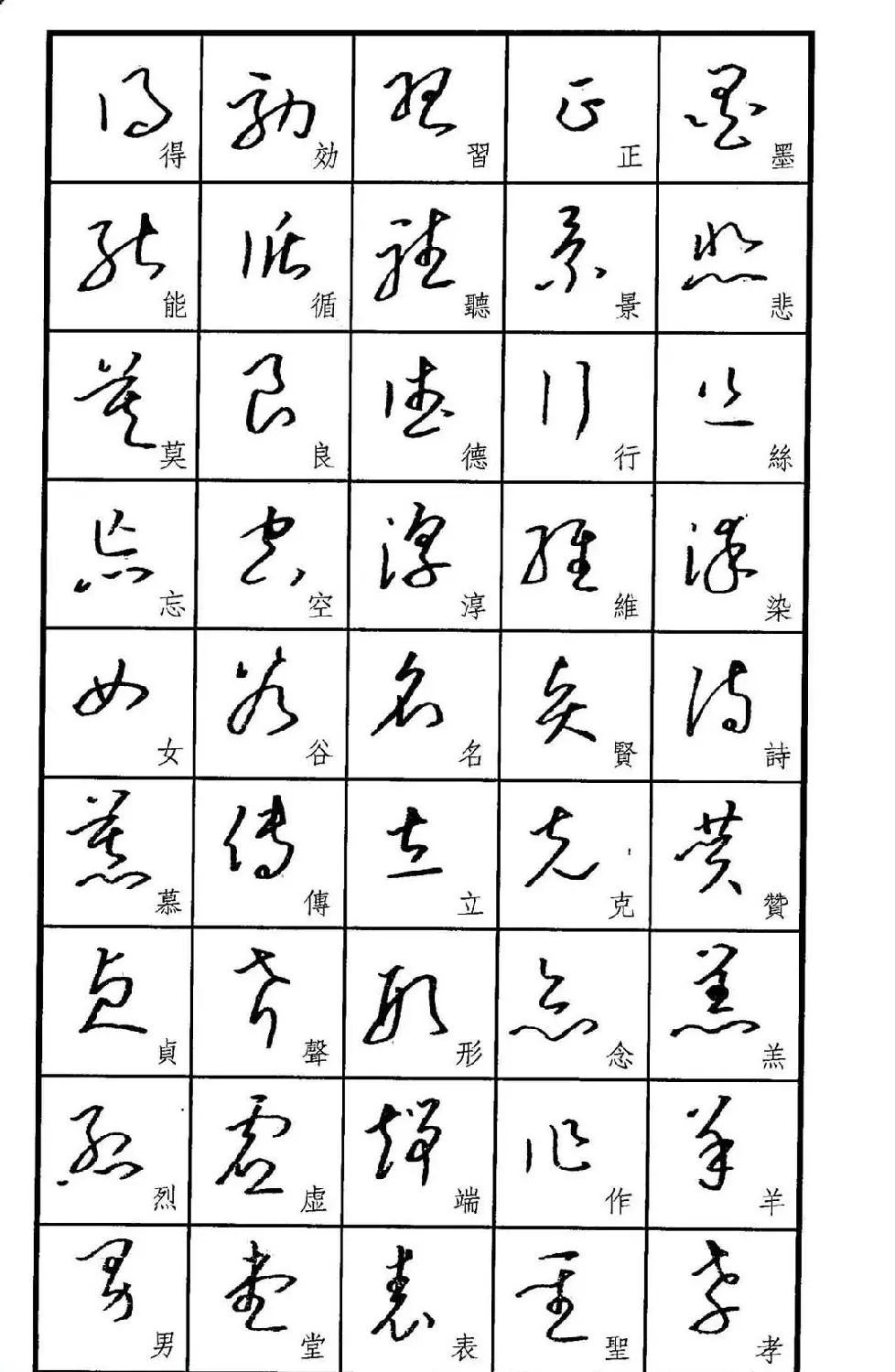 梧桐钢笔书帖《标准草书范字》 | 硬笔书法字帖