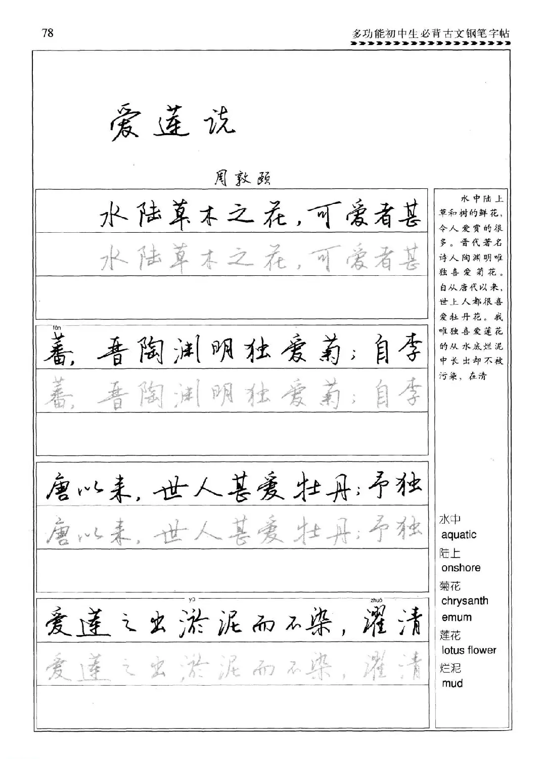 任平钢笔行书字帖《初中生必背古文》 | 硬笔书法字帖