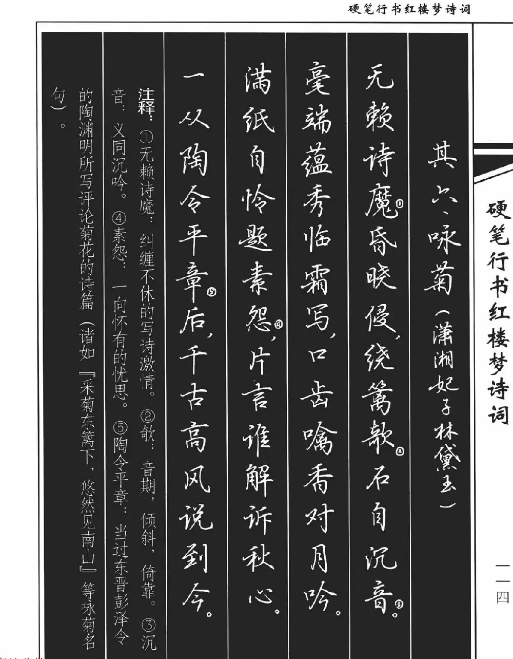 吴玉生钢笔字帖欣赏《硬笔行书红楼梦诗词》 | 硬笔书法字帖