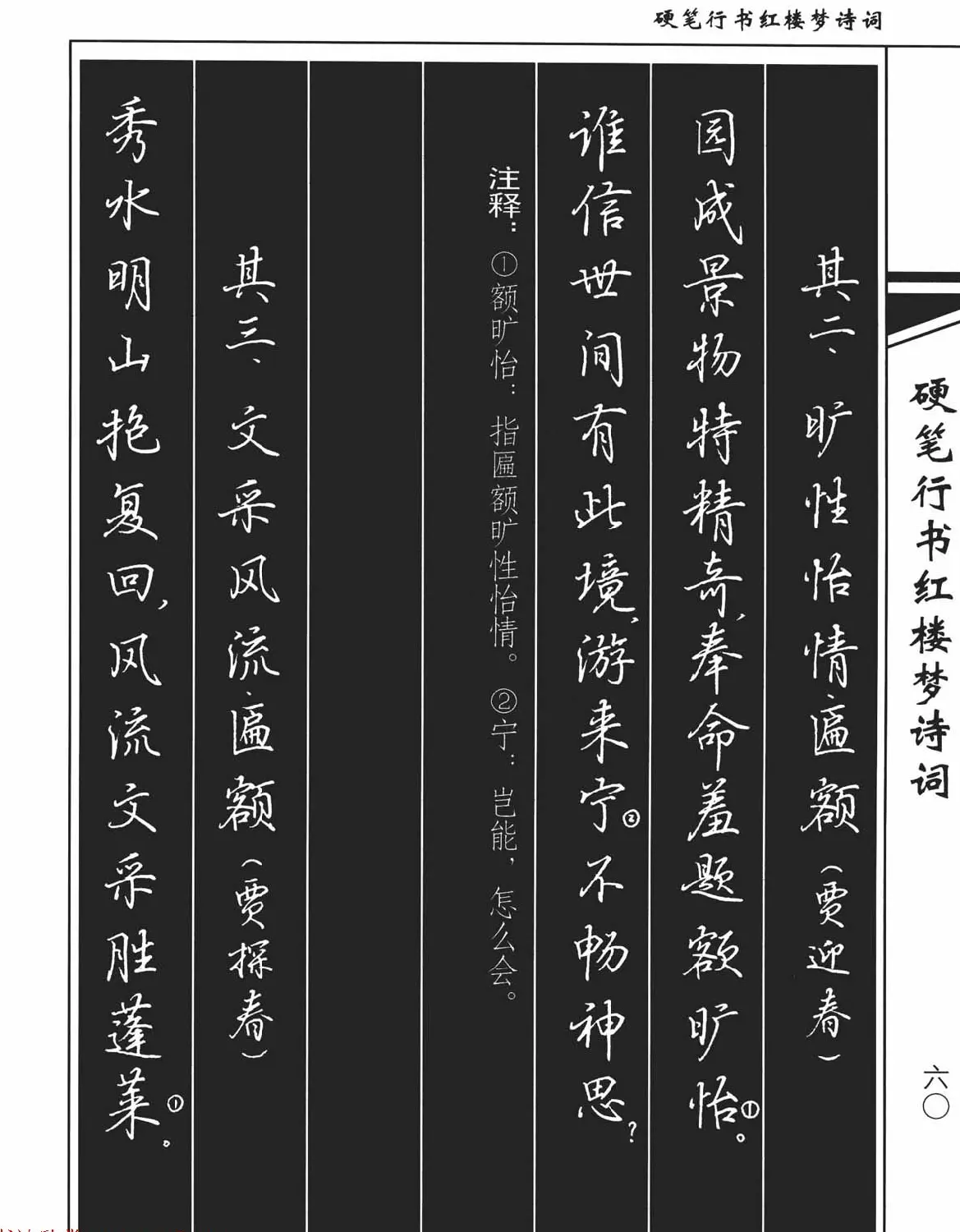 吴玉生钢笔字帖欣赏《硬笔行书红楼梦诗词》 | 硬笔书法字帖