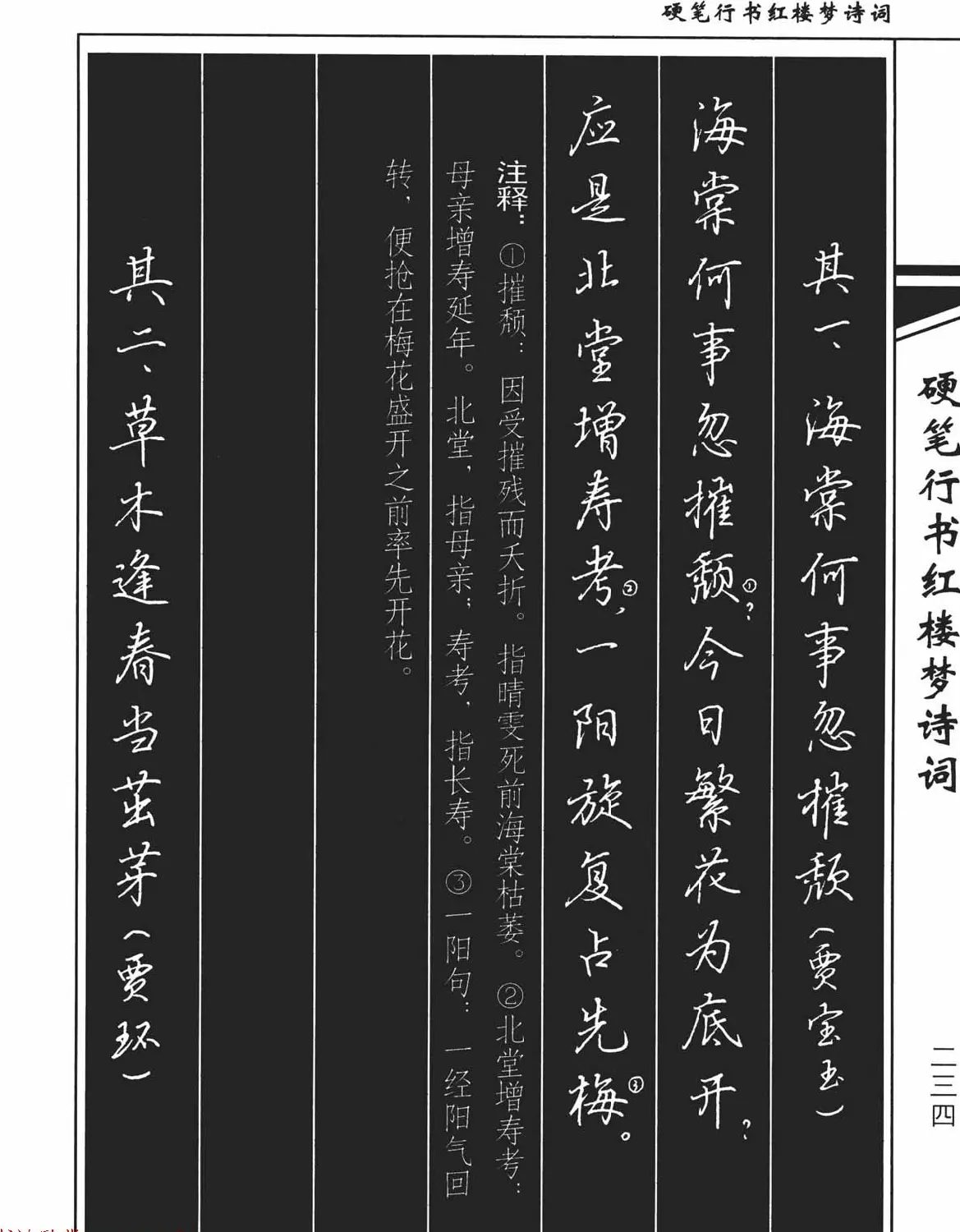 吴玉生钢笔字帖欣赏《硬笔行书红楼梦诗词》 | 硬笔书法字帖