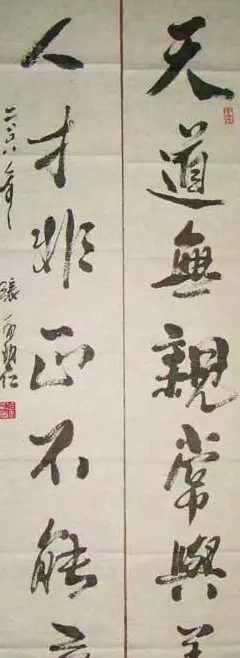 张有碧书法作品欣赏 | 毛笔书法作品