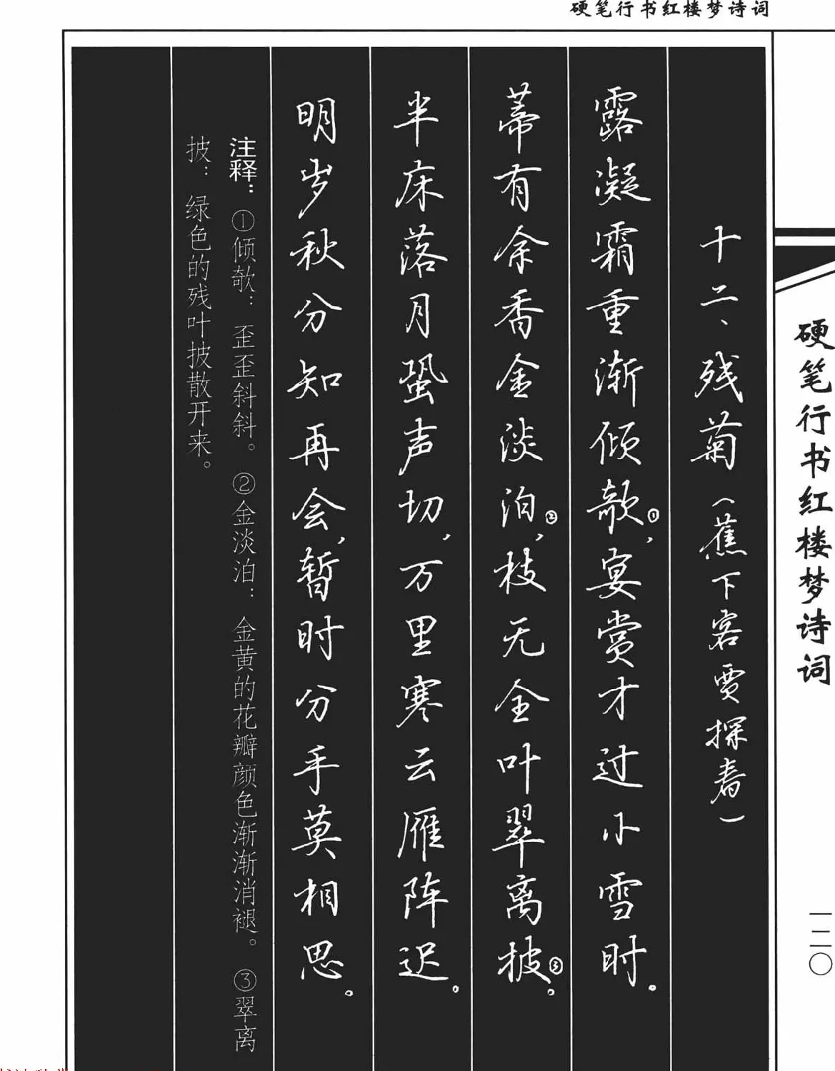 吴玉生钢笔字帖欣赏《硬笔行书红楼梦诗词》 | 硬笔书法字帖