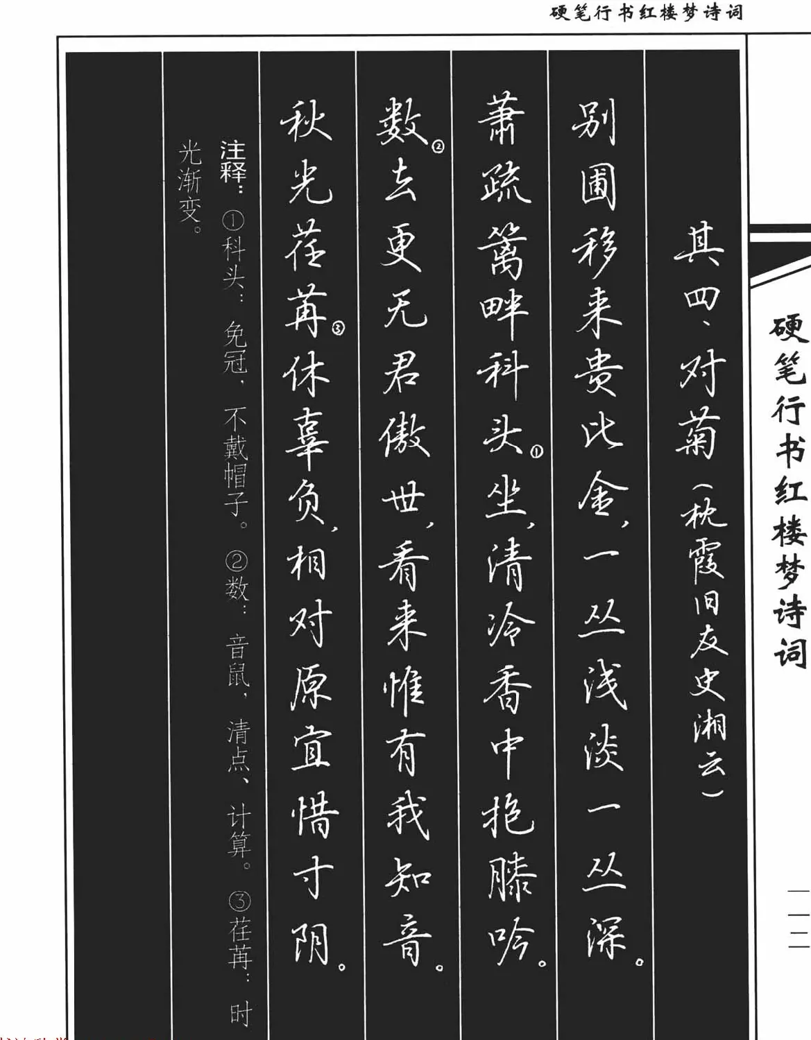 吴玉生钢笔字帖欣赏《硬笔行书红楼梦诗词》 | 硬笔书法字帖