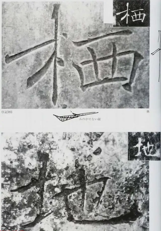 荒金大琳编著《褚遂良雁塔圣教序扩大观察记录》 | 毛笔楷书字帖