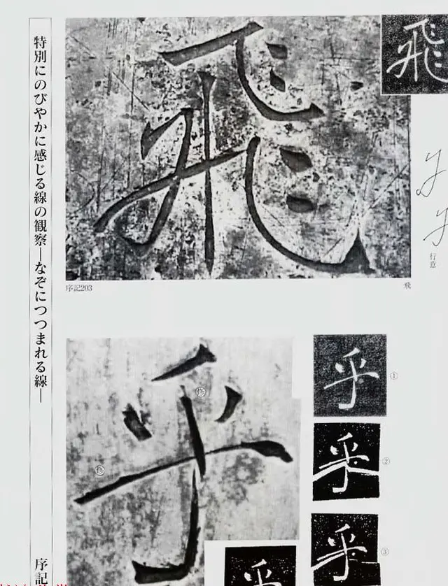 荒金大琳编著《褚遂良雁塔圣教序扩大观察记录》 | 毛笔楷书字帖