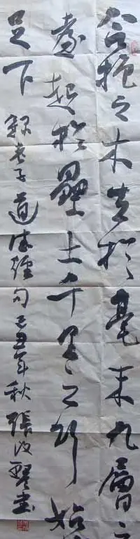 张改琴书法作品欣赏 | 软笔书法作品
