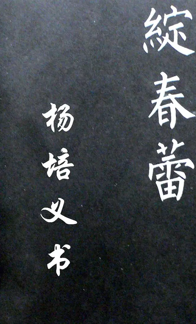 杨培义书法欣赏《柳体楷书唐诗字帖》 | 软笔楷书字帖