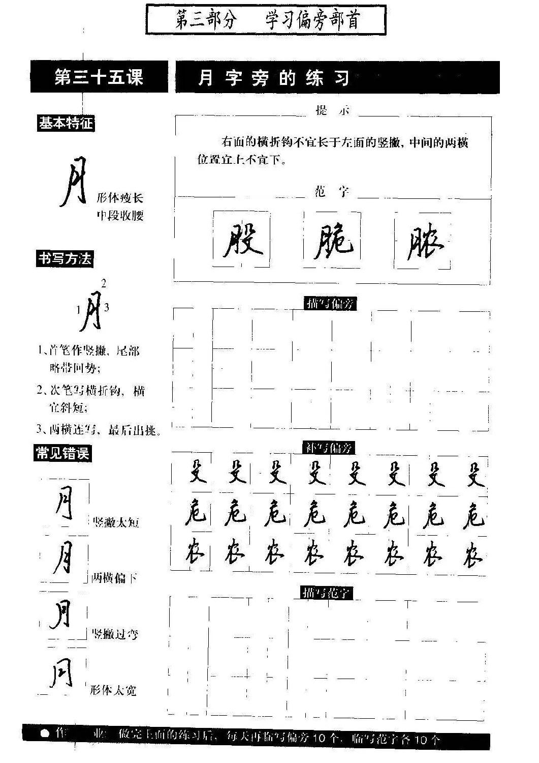 硬笔书法教程《标准钢笔行书》大图 | 硬笔书法字帖