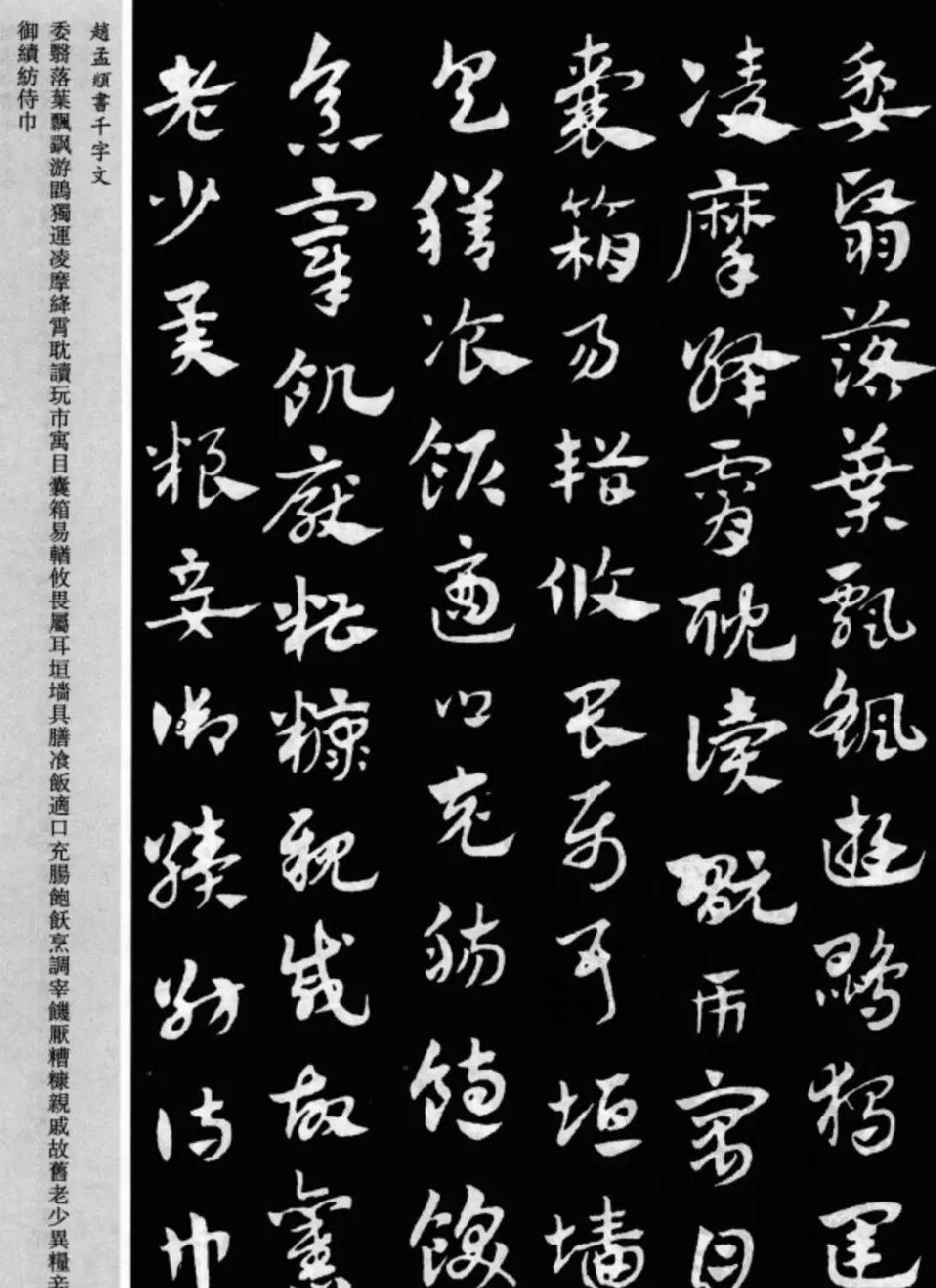 赵孟頫书法章草千字文(附释文)图片17P | 软笔草书字帖