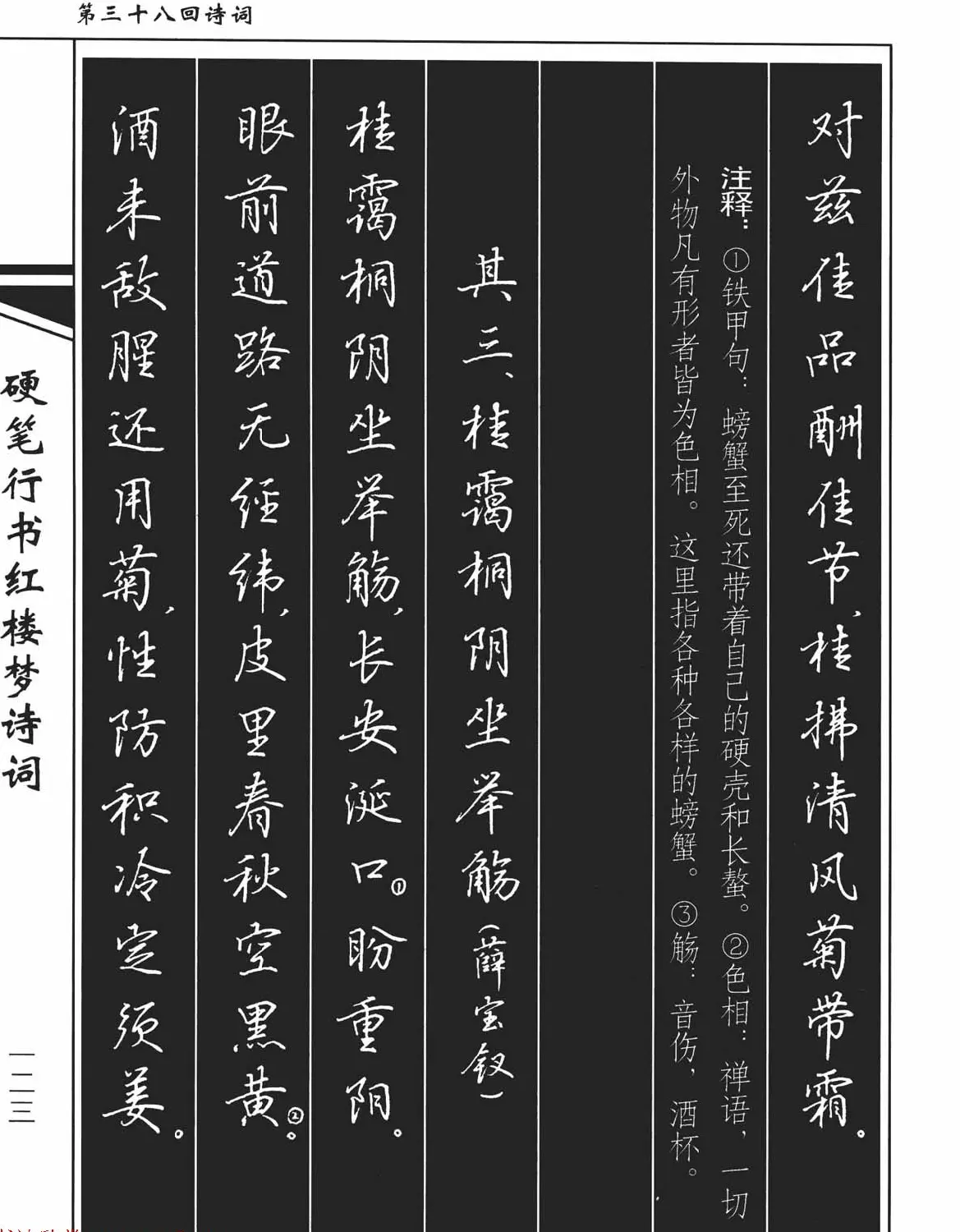 吴玉生钢笔字帖欣赏《硬笔行书红楼梦诗词》 | 硬笔书法字帖