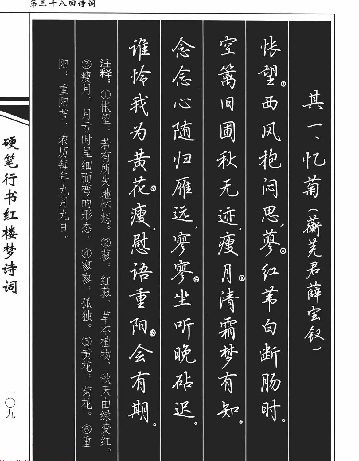 吴玉生钢笔字帖欣赏《硬笔行书红楼梦诗词》 | 硬笔书法字帖