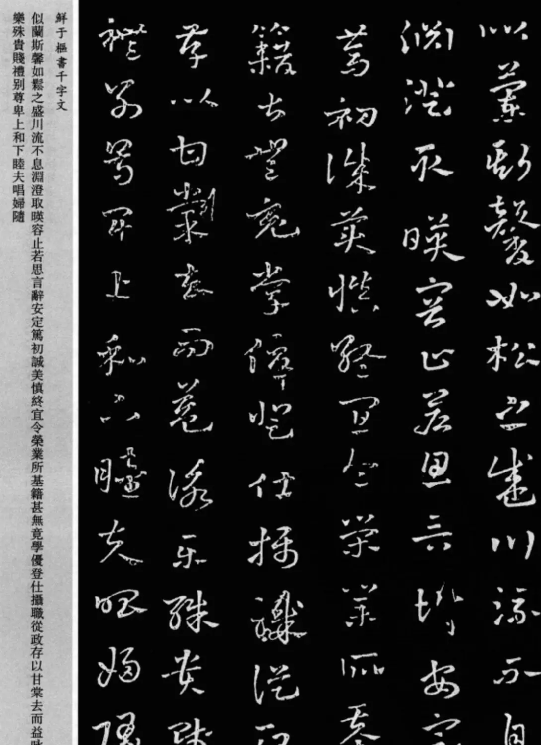 鲜于枢章草书法欣赏《千字文》大图 | 软笔草书字帖