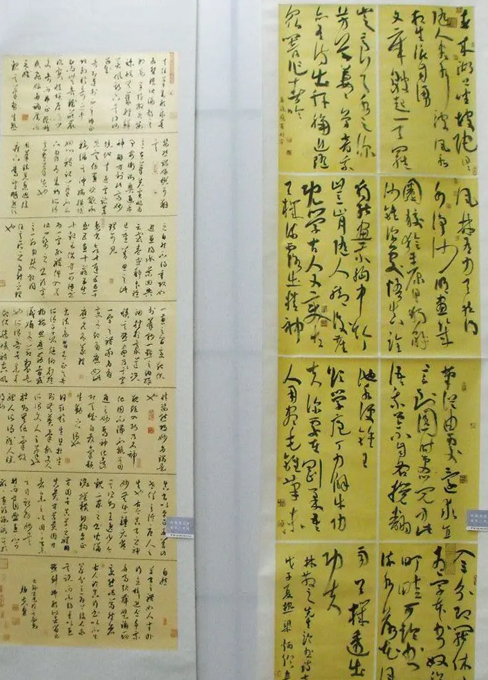 全国第二届草书展入展作品欣赏 | 书法展作品