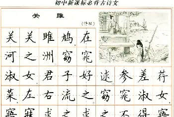 钢笔书法字帖 | 卢中南钢笔楷书字帖《初中新课标必背古诗文》