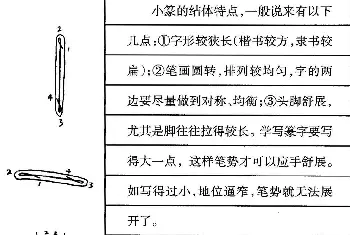 硬笔书法字帖 | 钢笔书法教程 篆书基本点画及结构特点