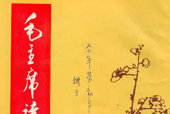 软笔行书字帖 | 书法字帖《毛主席诗词行书帖》