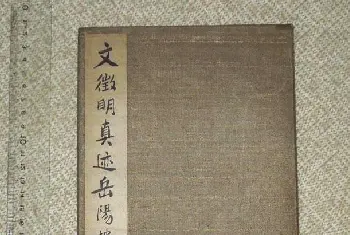 毛笔行书字帖 | 书法字帖欣赏《文徵明真迹岳阳楼记》